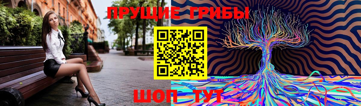 где продают наркотики  Вход с VPN  Щёкино  Галлюциногенные грибы Psilocybine cubensis  Галлюциногенные грибы Psilocybe 