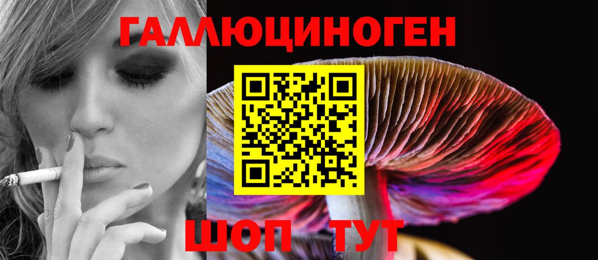 Галлюциногенные грибы прущие грибы Щёкино